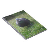 Posing-Taube-Notebook Notizblock (Rechte Seite)