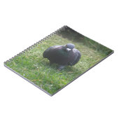 Posing-Taube-Notebook Notizblock (Linke Seite)
