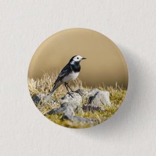 Posing Wagtail Button