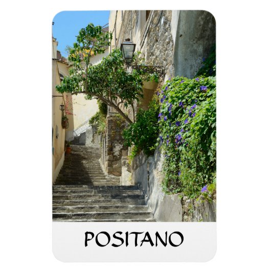 Positano, Italien Magnet (Vertikal)