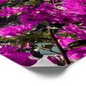 Positano Italien Poster (Ecke)