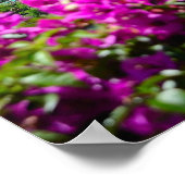Positano Poster (Ecke)