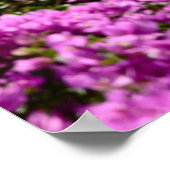 Positano Poster (Ecke)