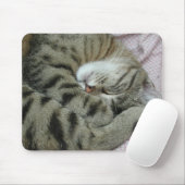 Position der Katze Mousepad (Mit Mouse)