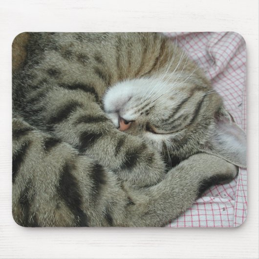 Position der Katze Mousepad (Vorne)