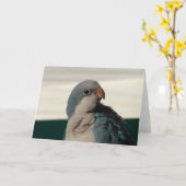 Position für die Kamera Karte (Gelbe Blume)