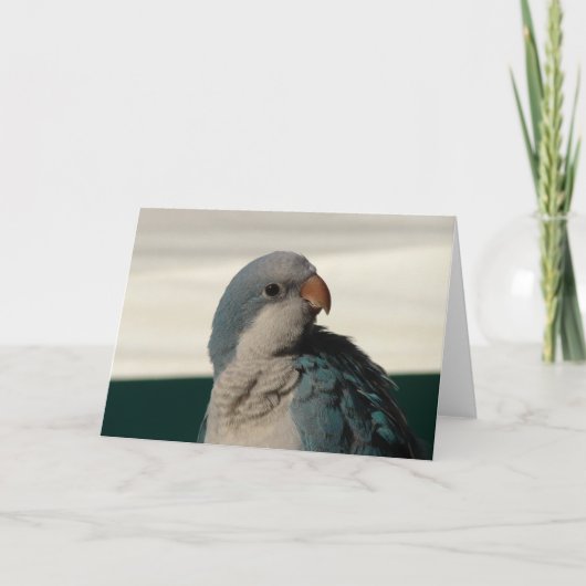 Position für die Kamera Karte (Vorderseite)