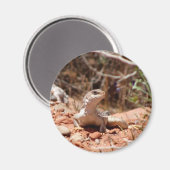 Position für die Kamera Magnet (Vorderseite/Rückseite)