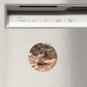 Position für die Kamera Magnet (In Situ (Geschirrspüler))