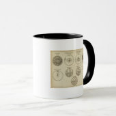Positionen der Sphere Tasse (VorderseiteRechts)