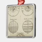 Positionen des Bereichs Silbernes Ornament (Links)