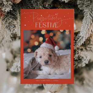 Positiv Festlicher Hund Weihnachten Foto Rot