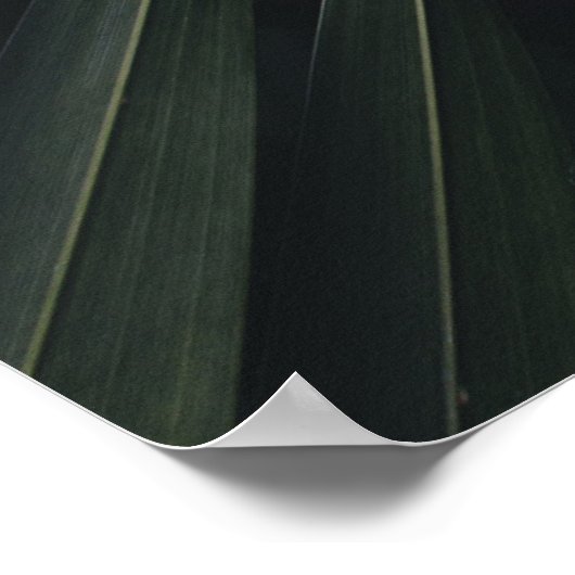 Positive Affirming Future Quote Wall Print Poster (Ecke)