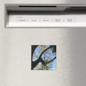 positive Einstellung Magnet (In Situ (Geschirrspüler))
