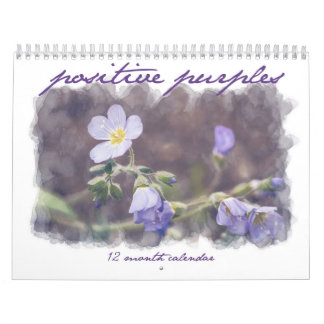 Positive Ziele - Motivierend 12-monatiger Kalender