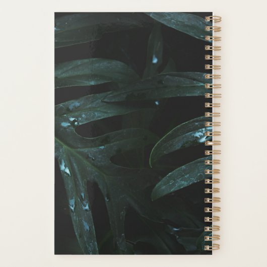 Positiver Affirmative Personalisiert Planner Planer (Rückseite)