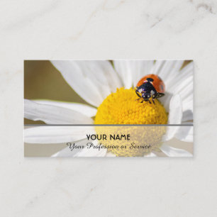 Positiver und glücklicher Ladybug für Zen und Bild Visitenkarte