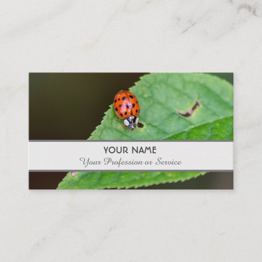Positiver und glücklicher Ladybug für Zen und Bild Visitenkarte (Vorderseite)