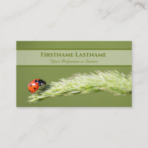 Positiver und glücklicher Ladybug für Zen und Bild Visitenkarte