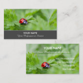 Positiver und glücklicher Ladybug für Zen und Bild Visitenkarte (Vorne/Hinten)