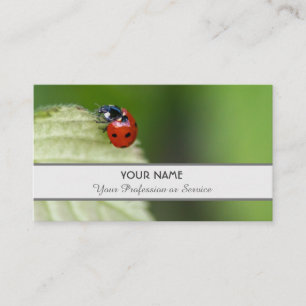 Positiver und glücklicher Ladybug für Zen und Bild Visitenkarte
