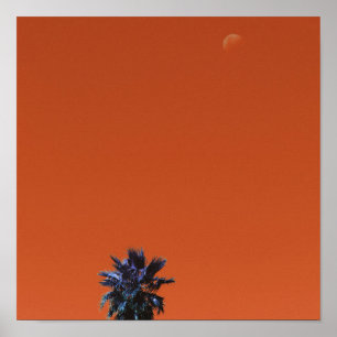 Positiver Vibes Tropical Palm Tree Moon Minimalism Poster