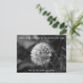 Positives Denken Sprichwort mit Dandelion Postkarte (Stehend Vorderseite)