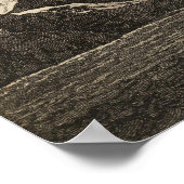 Possession Bay, Südgeorgien Poster (Ecke)