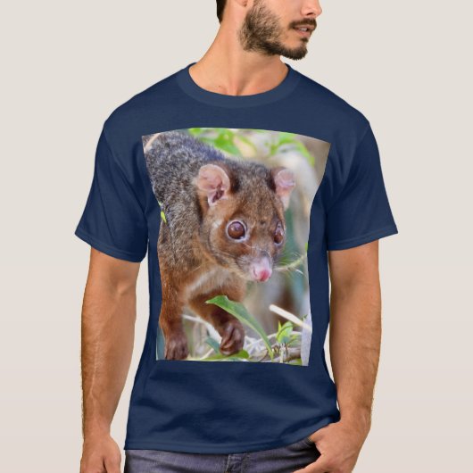 Possum at Arkarra Lagoons gift T-Shirt (Vorderseite)