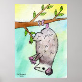 Possum Danglin' Poster (Vorne)