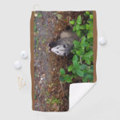 Possum im Reich Golfhandtuch (Insitu)