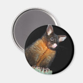 Possum in der Nacht Magnet (Vorderseite/Rückseite)