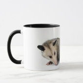 Possum Life - Sigh. Tasse (Links)