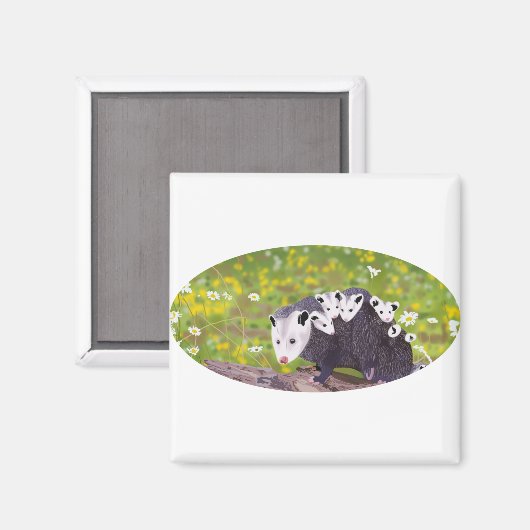 Possum Magnet (Vorderseite/Rückseite)