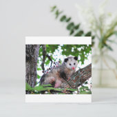 Possum, Mama und Babys Karte (Stehend Vorderseite)