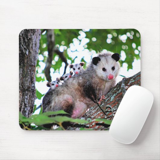Possum, Mama und Babys Mousepad (Mit Mouse)