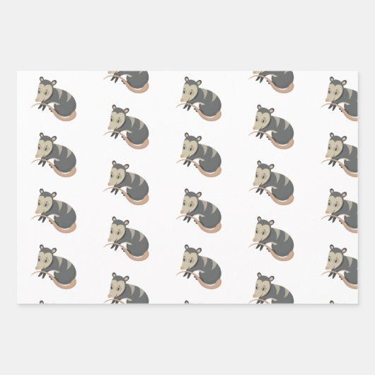 Possum Opossum Rose Blumengeschenk Wrapping Geschenkpapier Set (Vorderseite 3)