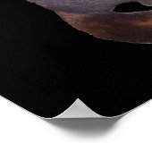 Possum Poster (Ecke)