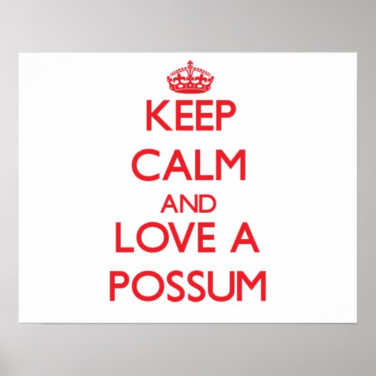 Possum Poster (Vorne)