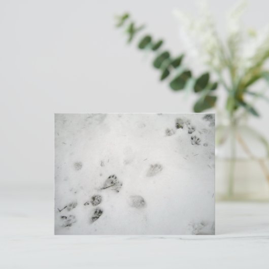 Possum Prints Postkarte (Stehend Vorderseite)