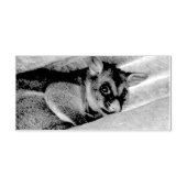 POSSUM QUEENSLAND AUSTRALIEN GUMMISTEMPEL (Prägung)