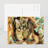 Possum up a Gum Tree Postkarte (Vorne/Hinten)