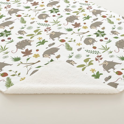 Possummen in einem Berry Field in White Sherpadecke (3/4)