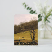 POST CARD Appalachian Trail Postkarte (Stehend Vorderseite)