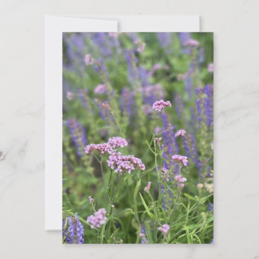 Post card  einladung (Vorderseite)