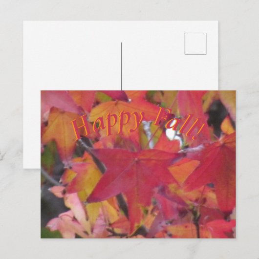 Post Card - Fall Leaves Postkarte (Vorne/Hinten)