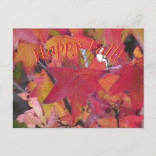 Post Card - Fall Leaves Postkarte (Vorderseite)