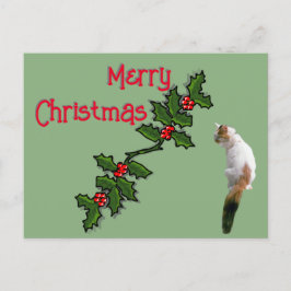 Post Card - Frohe Weihnachten Holly und Calico Cat Postkarte