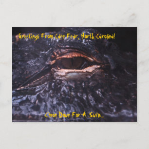 Post Card Greetings From Cape Fear. Postkarte