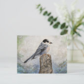 Post-Card-Jack Postkarte (Stehend Vorderseite)